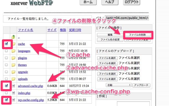 7_active04_com_public_html_wp-content_配下-6