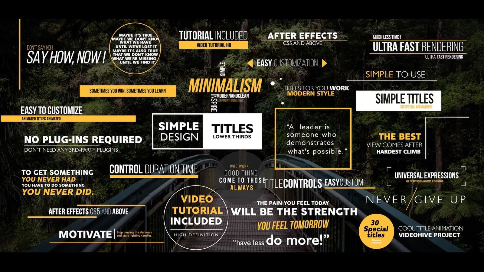 Thumbnails for the envato plugin Gold Simple Titles for Final Cut Pro X