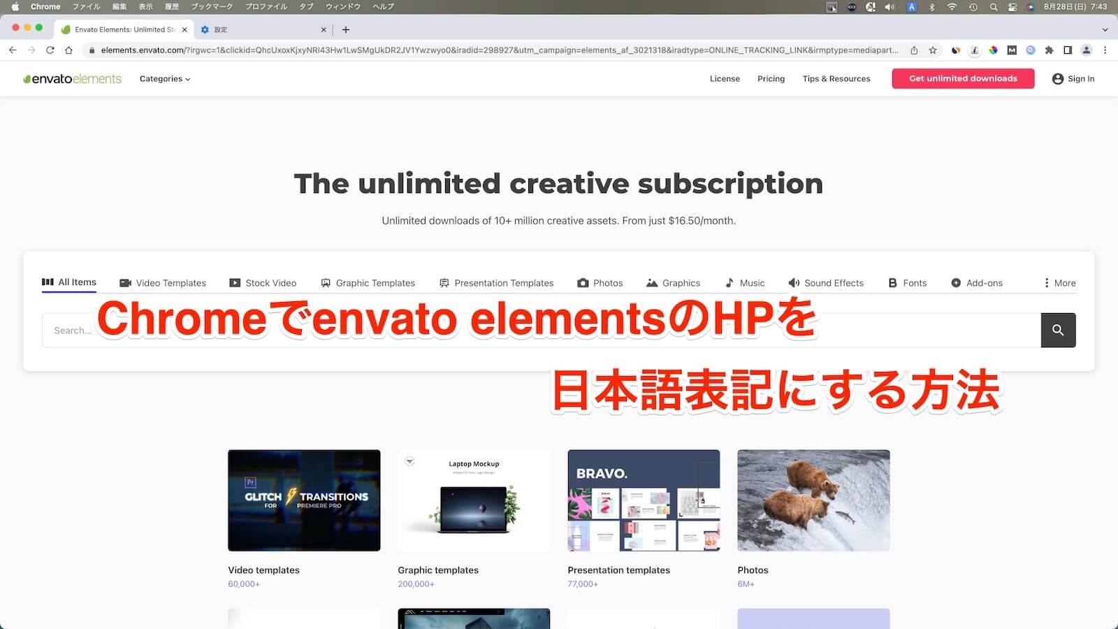 Screenshot of the envato elements homepage
